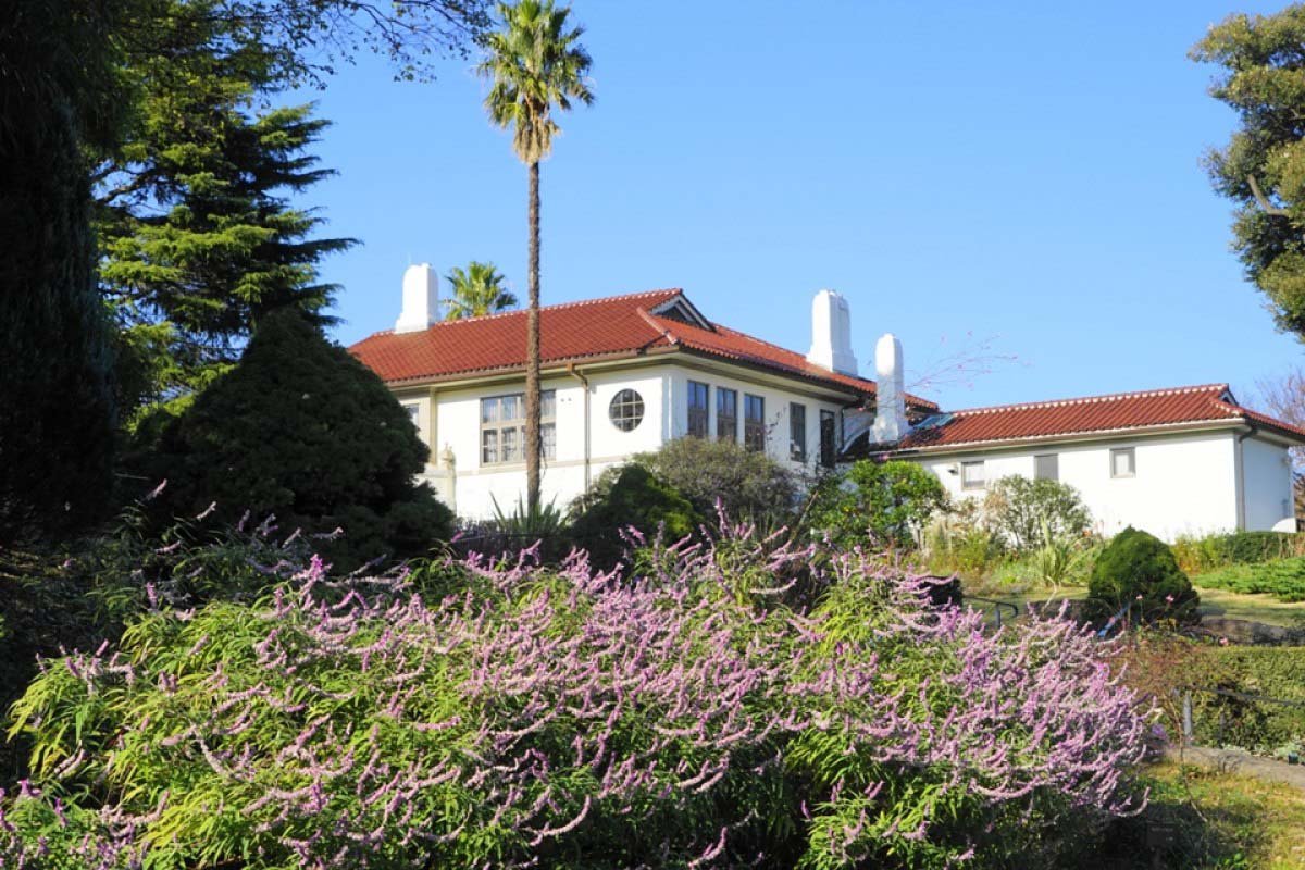 🏞️ 항구전망 언덕공원(미나토노미에루오카코엔) 이미지 8